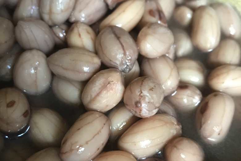 蛋白質(zhì)含量比較高的農(nóng)作物有哪些,有什么特點(diǎn)?