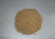 <strong>豬飼料中可以加入油粕嗎，有哪些營養(yǎng)價值？</strong>