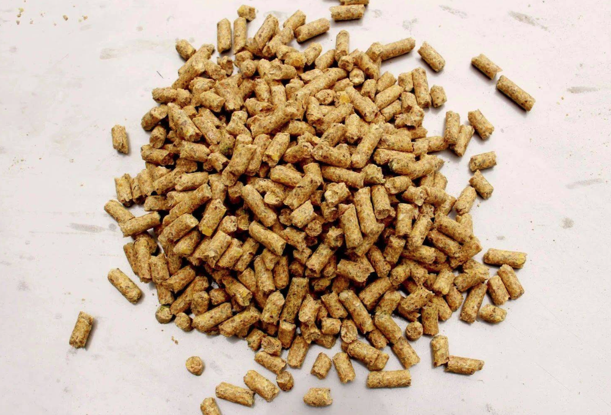 蛋白質(zhì)飼料主要有哪些食物組成?