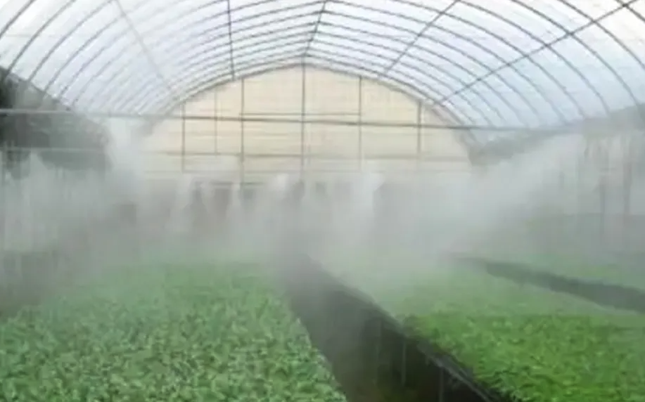 大棚的噴霧增濕和排風除濕有哪些區別,有什么作用?