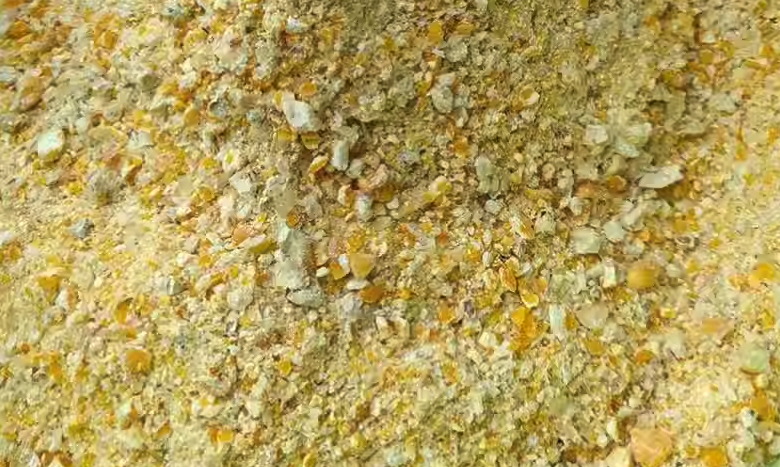 玉米作為牛飼料,有哪些營養價值?