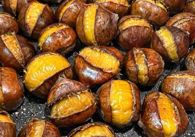 粟的經(jīng)濟(jì)價(jià)值如何,有哪些用途?