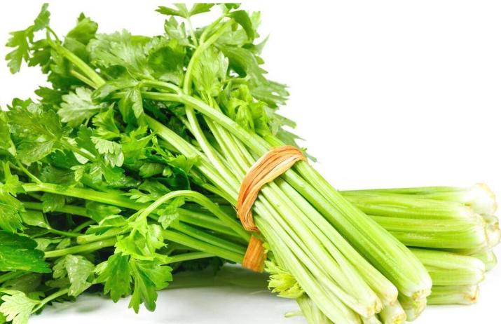 芹菜的生長周期是多久,冬天可以種植嗎?