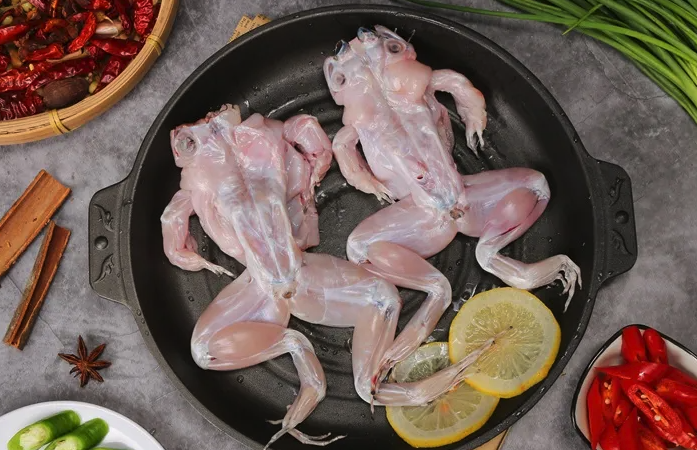 牛蛙的形態(tài)特征怎么樣,有哪些價(jià)值?