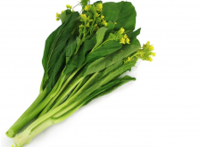 <strong>油菜如何提取油脂？目前有哪些重要的油菜產(chǎn)地？</strong>