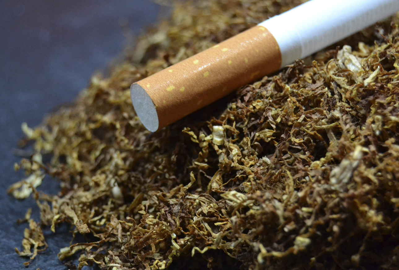煙草的種植有區(qū)域限制嗎?目前我國(guó)主要的煙草產(chǎn)地有哪些?