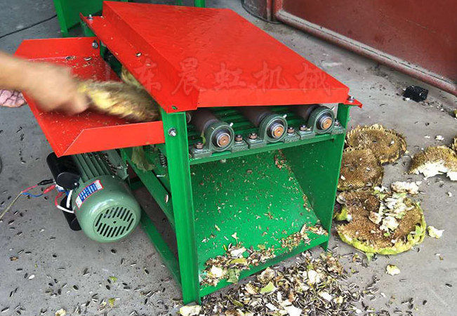 脫殼向日葵粕蛋白質含量高嗎,可以做牛飼料嗎?