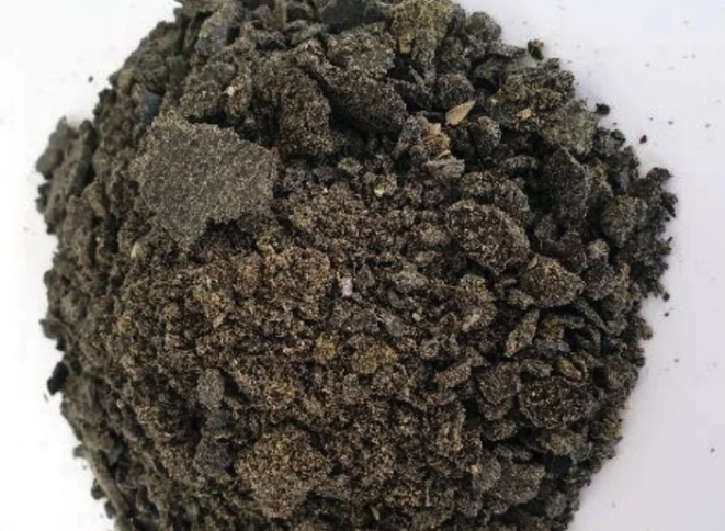 豬飼料中可以加入葵花籽粕,有哪些價值?
