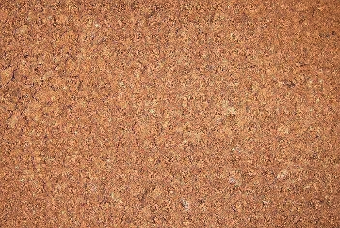 豬飼料中加入花生仁粕有哪些好處,量如何控制?