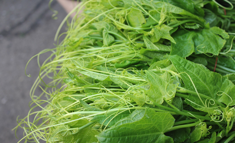龍須菜是一種什么蔬菜,有哪些特點?