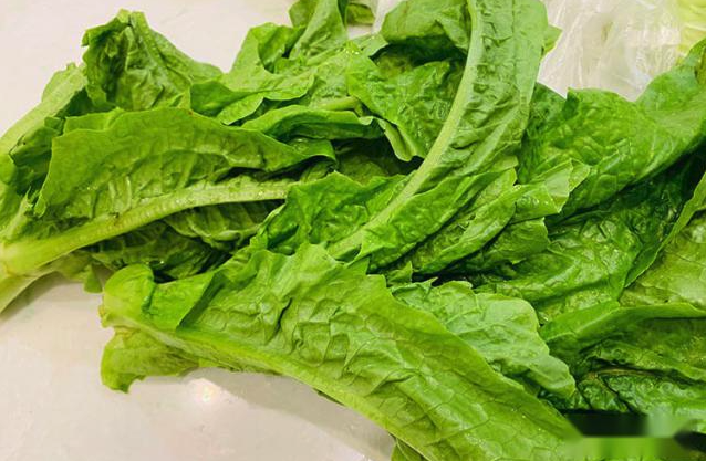 萵苣和生菜有哪些區別,是同一種植物嗎?