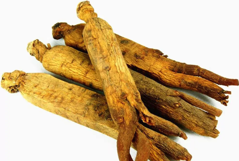 高麗參和人參有哪些區(qū)別,有哪些營養(yǎng)價值?