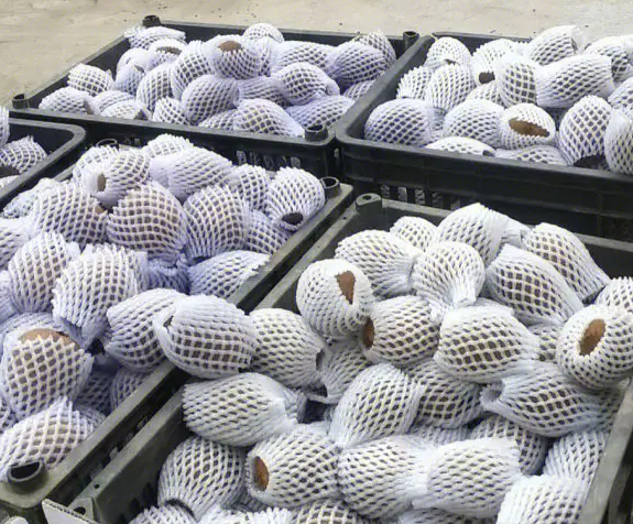 獼猴桃什么時間味道好,如何保存