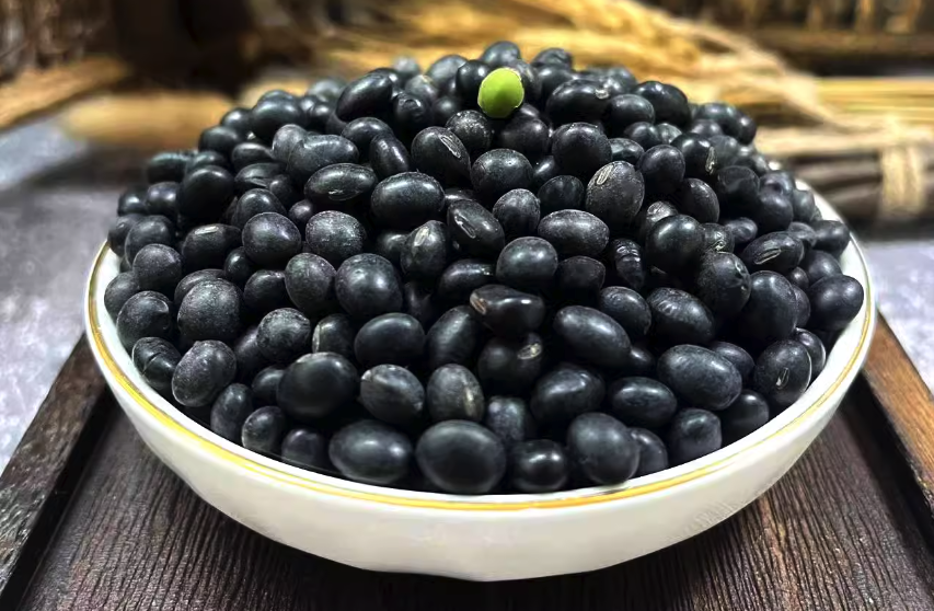 黑皮黃豆有什么營養價值,如何培育種子?