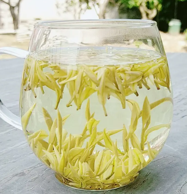 白茶是什么茶?