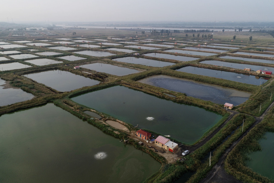 漂白粉是什么,可以用來清潔魚塘水質嗎?