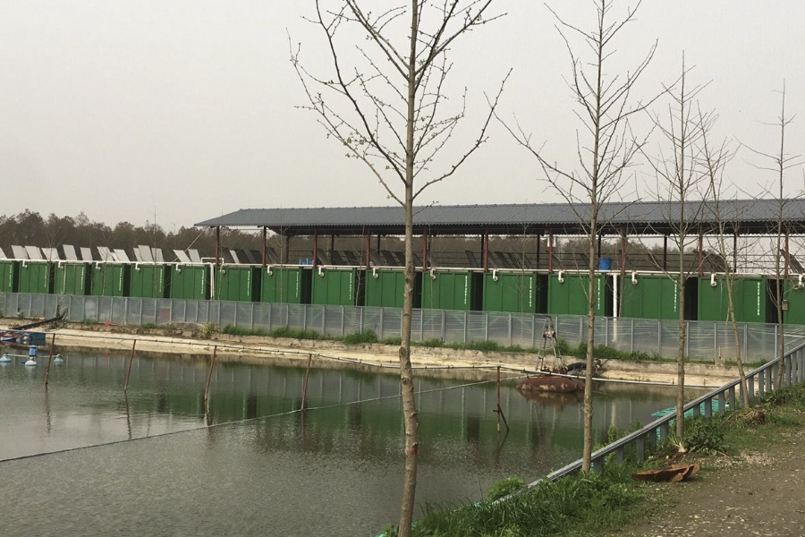 漂白粉是什么,可以用來清潔魚塘水質嗎?