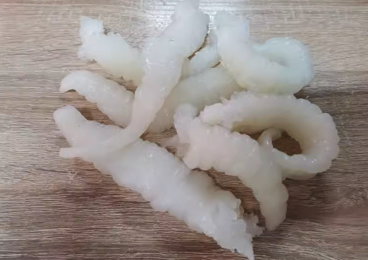 常見的動物膠有哪些,是如何制作的?