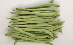 <strong>菜豆有哪些營養價值和經濟價值？</strong>