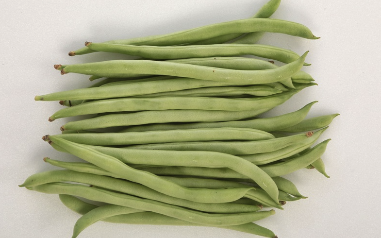 菜豆有哪些營養價值和經濟價值?