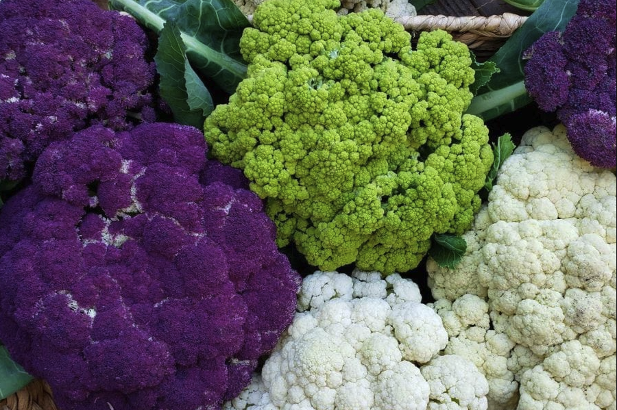 紫色青花菜如何進行追肥,如何搭配肥料?