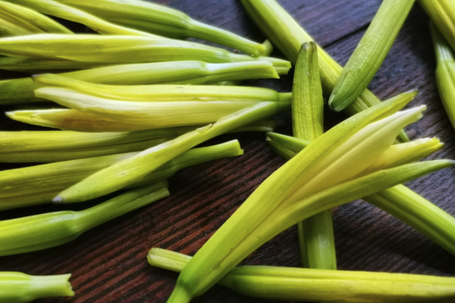小黃花菜常見的病蟲害以及防治方法介紹?