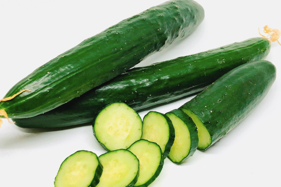 黃瓜如何用營養缽育苗,有哪些好處?