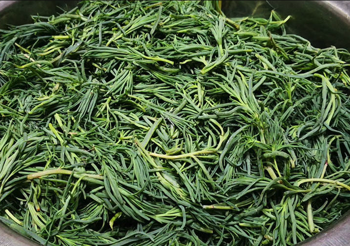 龍蓿堿來自于什么植物,有哪些作用和用途?