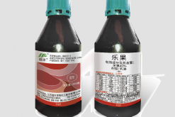<strong>樂果可以用來消滅棉蚜嗎，需要注意什么?</strong>