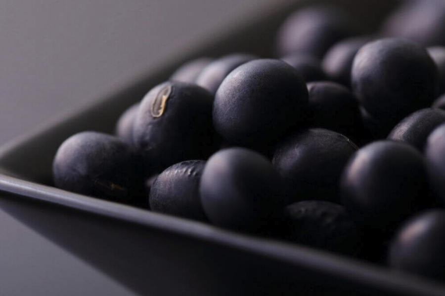 黑皮大豆和黃皮大豆有什么區別?