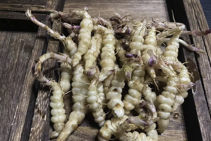 甘露子適合露天種植還是大棚種植,有什么不同?