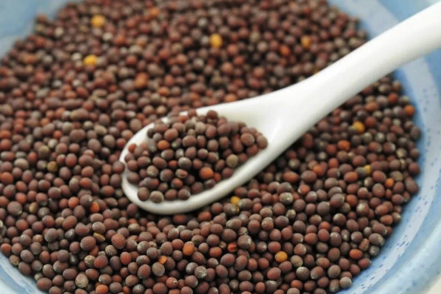 菜籽榨完油后殘?jiān)€有哪些用途?