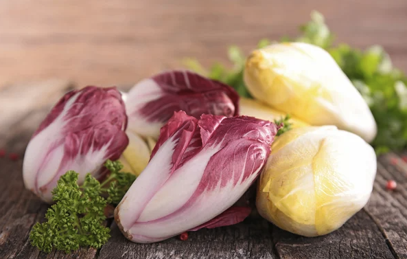 玉蘭菜怎么進行種子培養和催芽?