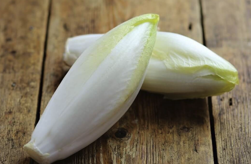 玉蘭菜有哪些生態習性,對溫度有什么要求?