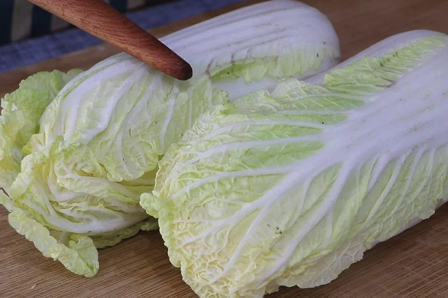 原生質體培養白菜幼苗的過程?