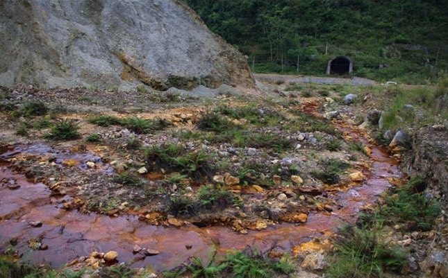 重金屬污染對酸性土壤有哪些危害?