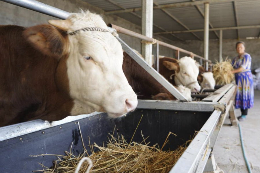 飼料中的初水和結合水有什么特點和區別?