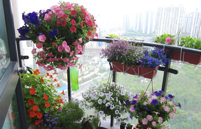 陽臺花卉活動種植槽和固定種植槽有什么優(yōu)缺點?