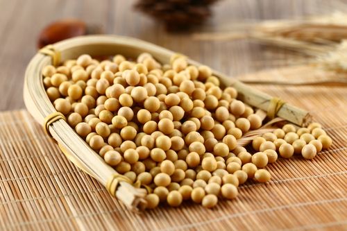 大豆蛋白質含量測定,大豆的蛋白質含量是多少?