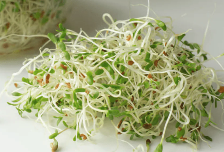 百脈根作牛羊飼料的好處?