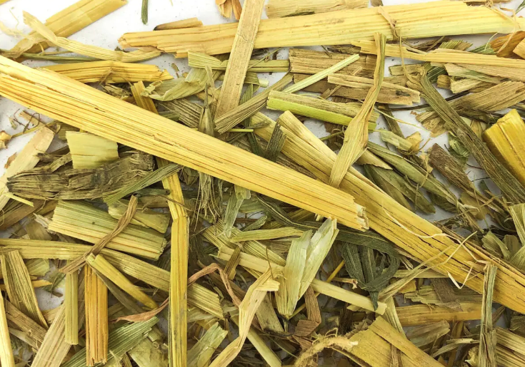 燕麥鮮草的營(yíng)養(yǎng)價(jià)值怎么樣?