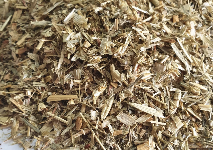 燕麥鮮草的營(yíng)養(yǎng)價(jià)值怎么樣?