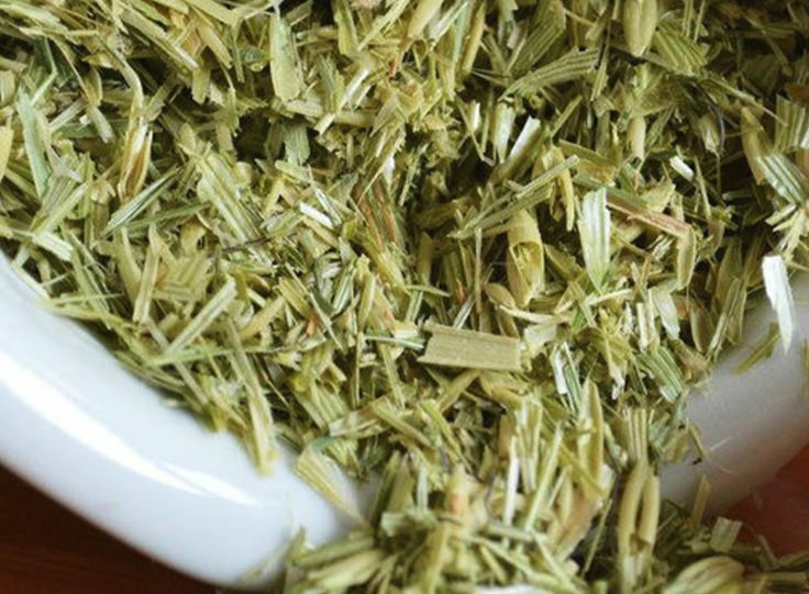燕麥適合和哪些牧草混播?