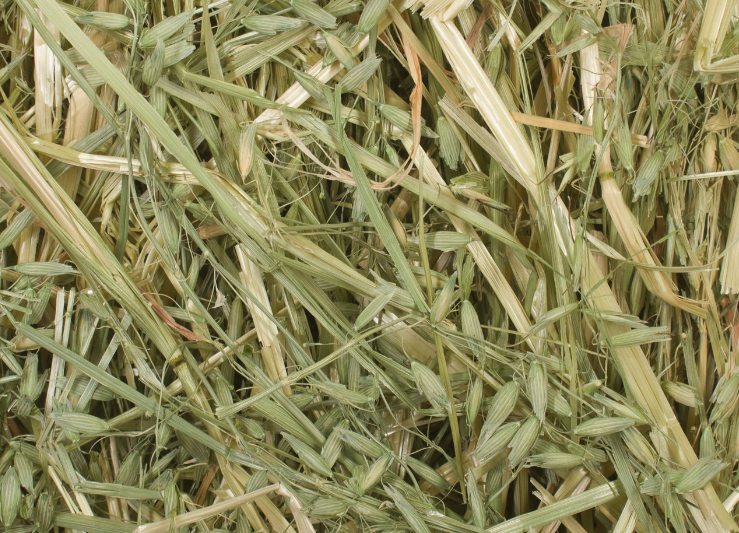 干草的堆藏的方法和形態(tài)?