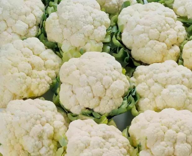 菜花怎么篩蟲子?