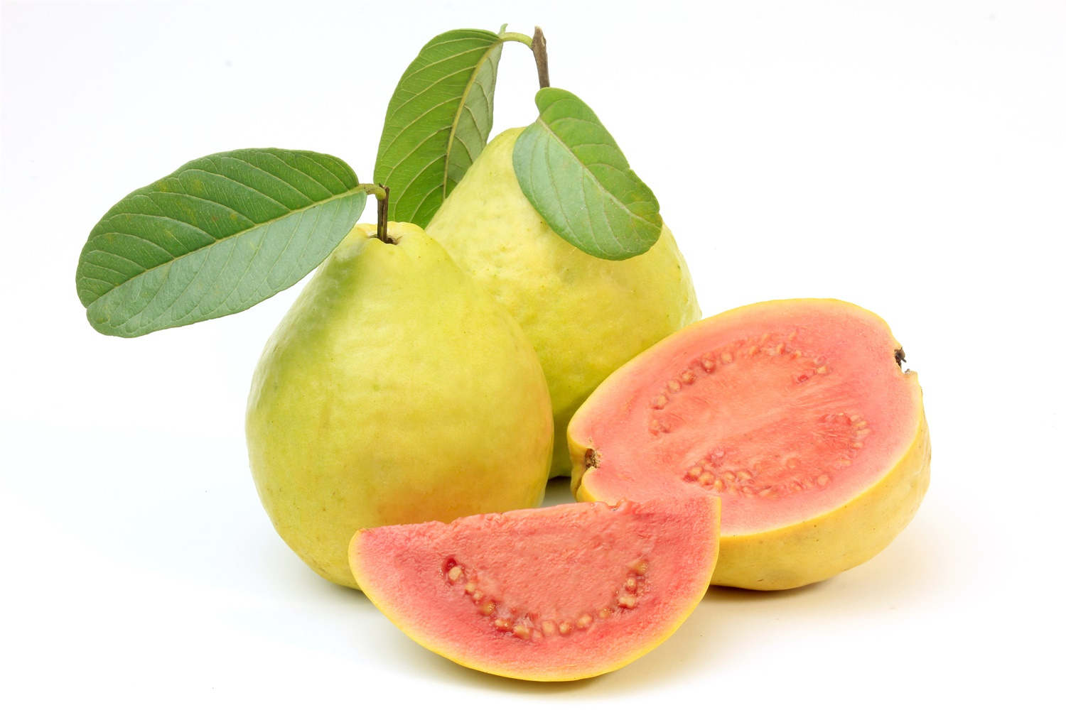 <b>熱帶果王芭樂：成熟季節(jié)的甜蜜守候與食用指南！</b>
