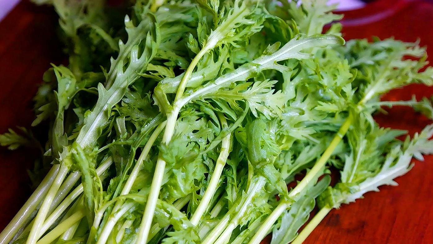 掌握茼蒿的種植季節與方法,讓餐桌添一抹清新綠意