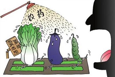 綠色農業新課堂:農藥安全間隔期,保障食品安全的科學法則