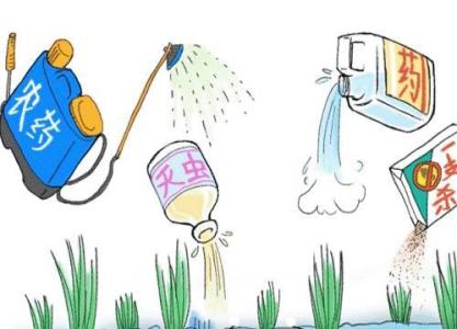 綠色農業新課堂:農藥安全間隔期,保障食品安全的科學法則