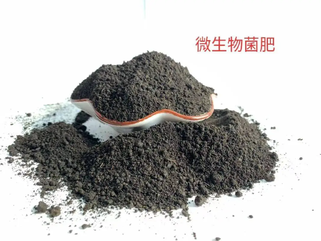 菌肥-活化土地的秘密武器,提升作物品質的秘密!